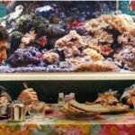 عشق زیر سایه طالبان؛ برلیناله با «No Good Men» به کابلِ سال ۲۰۲۱ برگشت