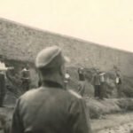 یونان، اعدام‌های اول ماه مه ۱۹۴۴ –  تصاویری که نوری تازه بر چهره فاشیسم می‌تاباند